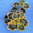 Pelargonium zonale tricolore